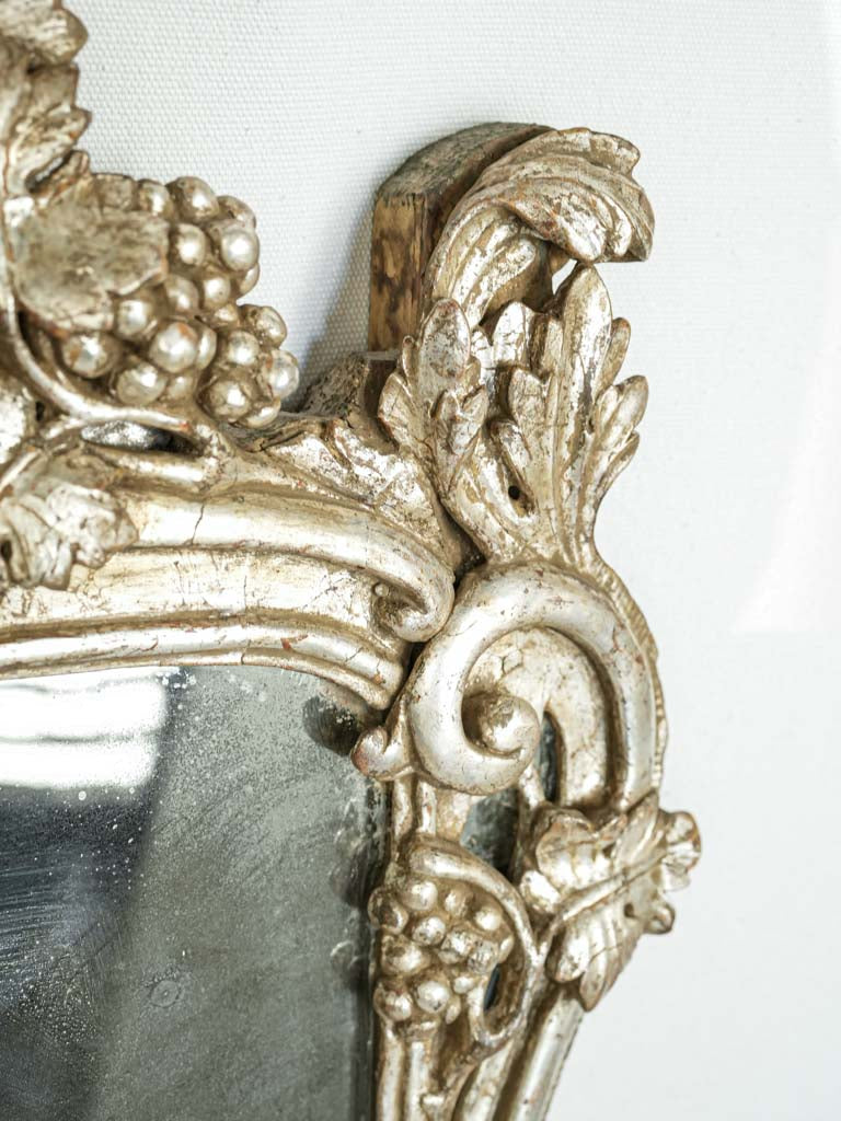 Poetic acanthus leaf mirror