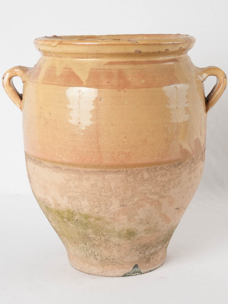 Antique French confit pot, blush yellow