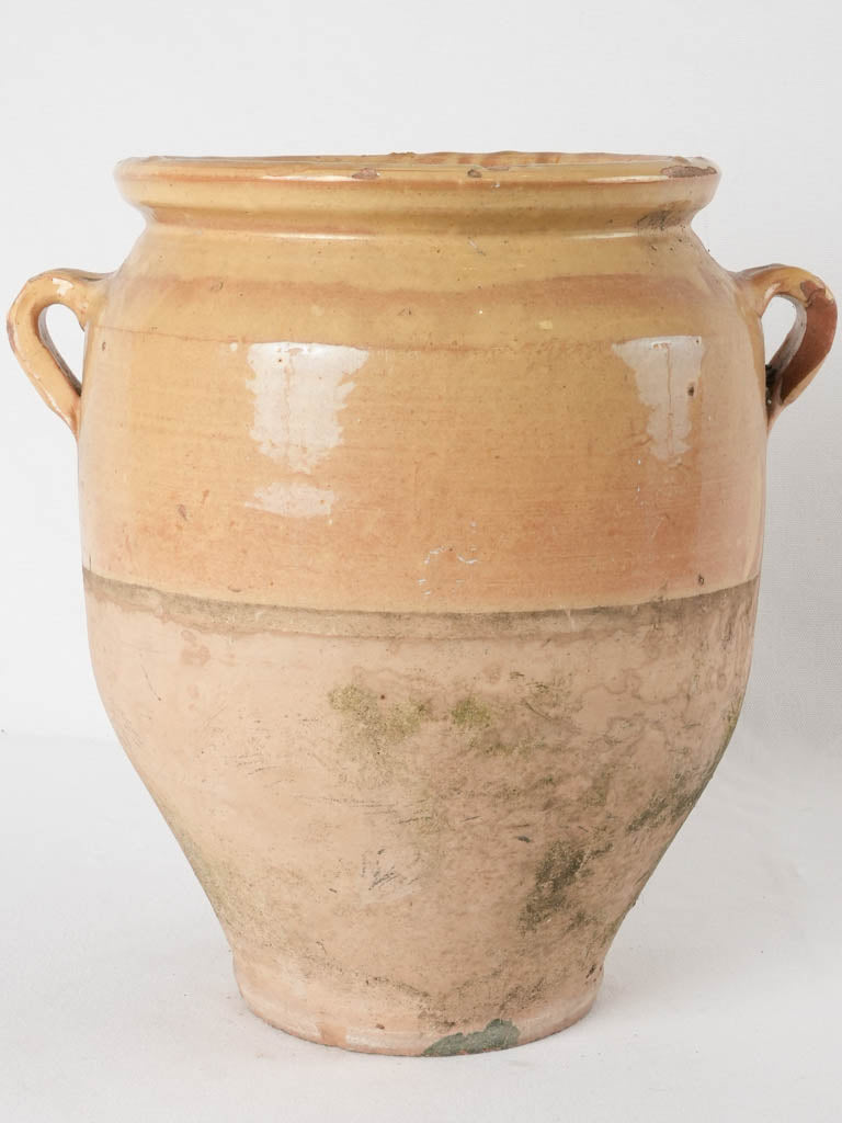 Nineteenth-century large preserved storage pot