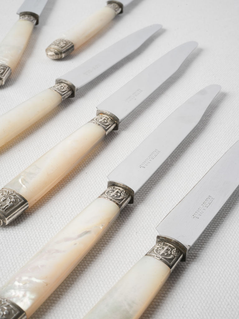 Polished steel blade knife set  