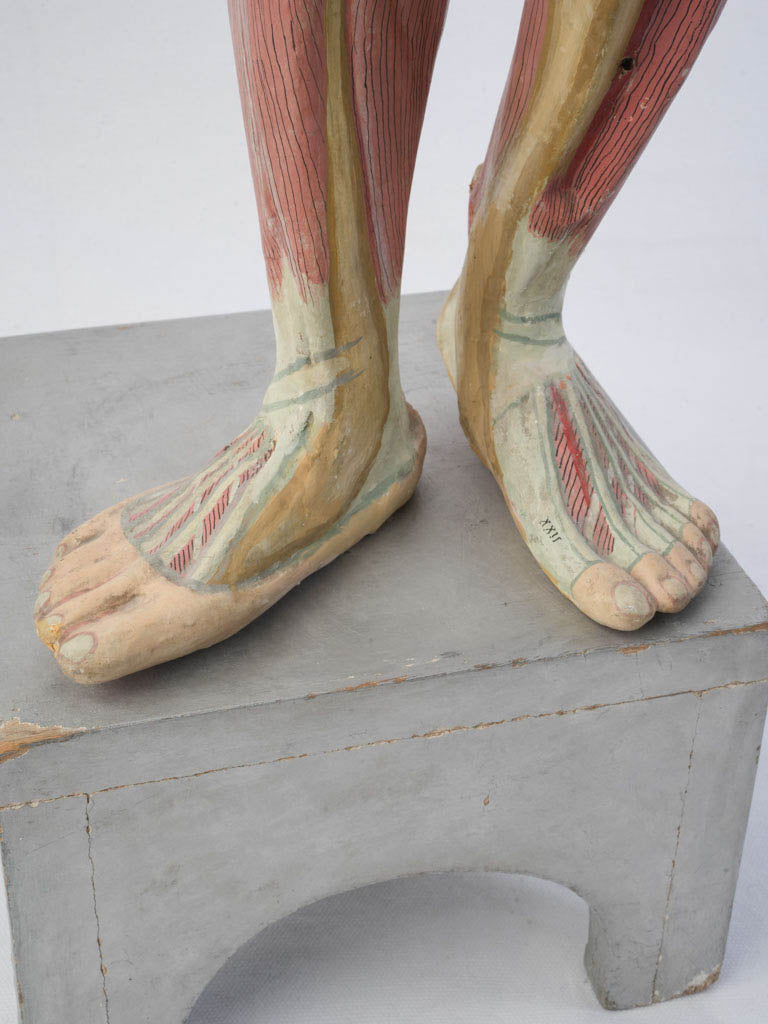 Hand-painted educational sculpture