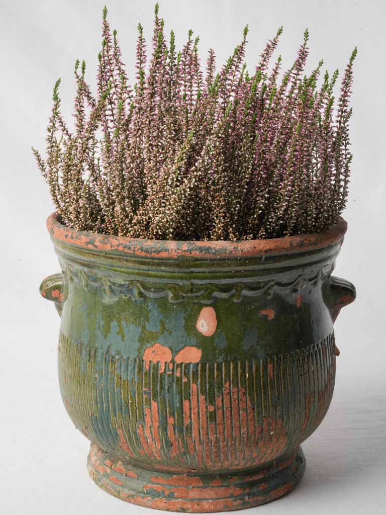 Aged French terracotta planter