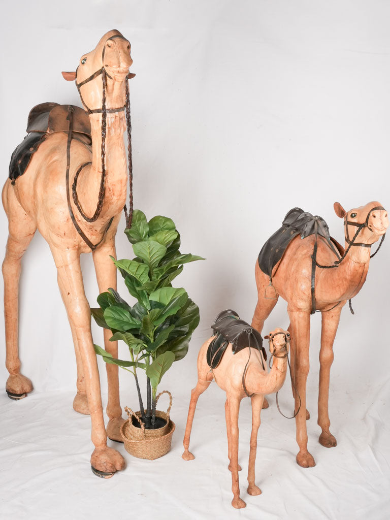 Three vintage dromedary camel sculptures - leather 67"