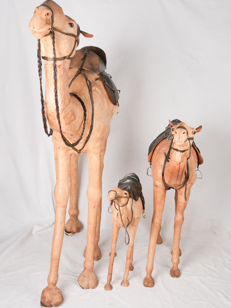 Three vintage dromedary camel sculptures - leather 67"