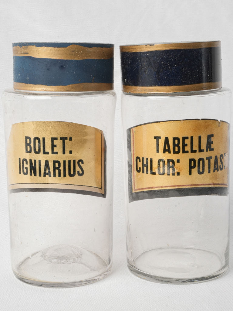 Pair of Antique French Glass Apothecary Bottles - 9½"