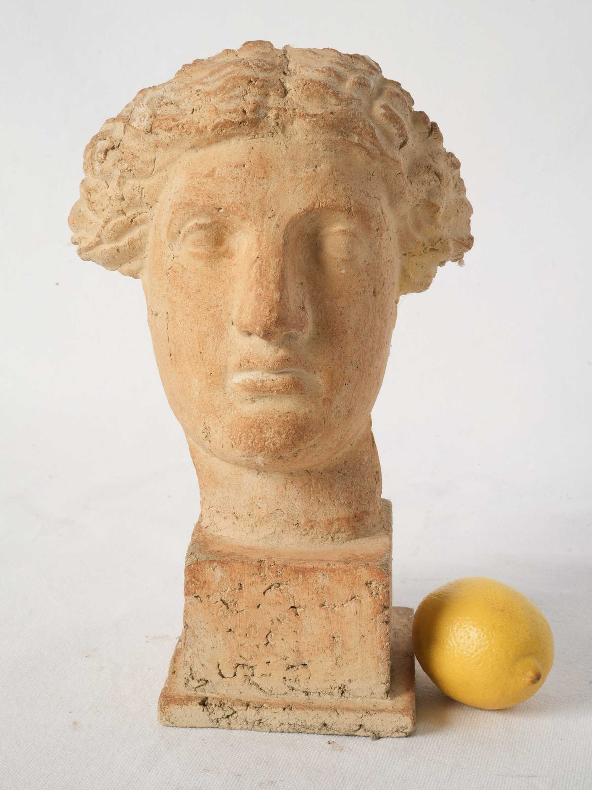 Vintage Terracotta Classical Female Bust on Plinth