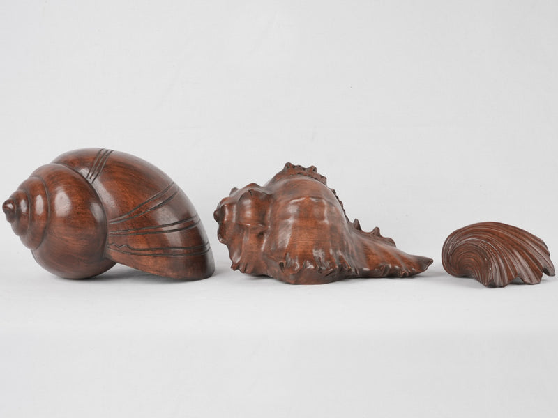 3 large carved shell sculptures - oak 13½"