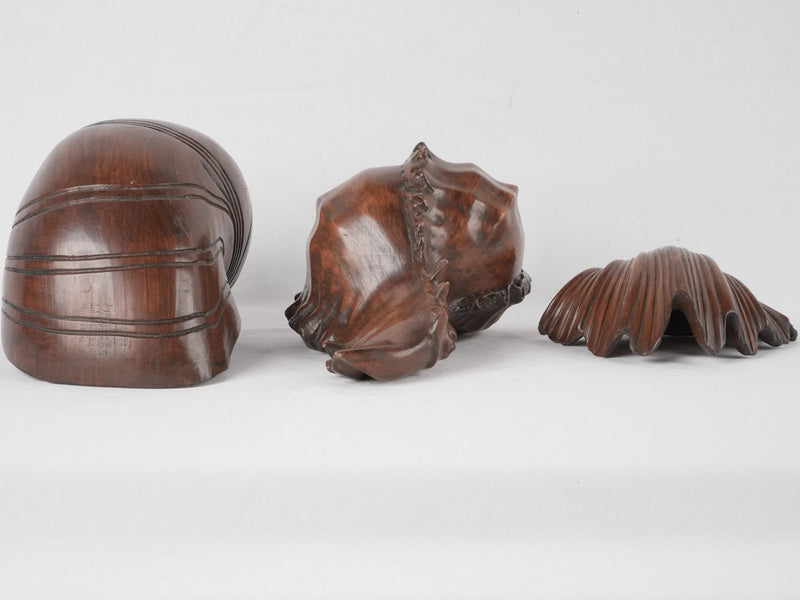 3 large carved shell sculptures - oak 13½"