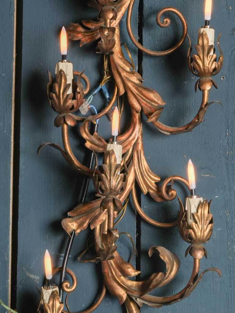 Elegant acanthus leaf lighting  