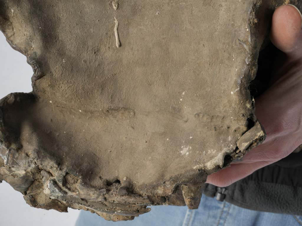 Patinated divine poses from eagle sculpture