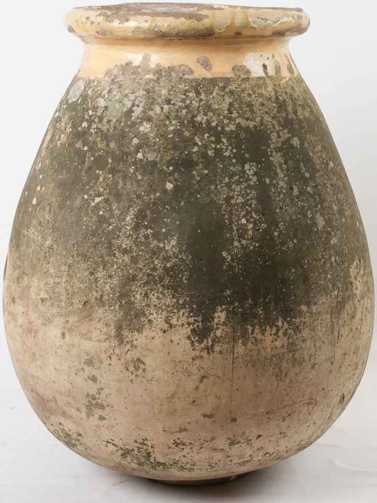 Repaired Ancient Olive Jar Rim