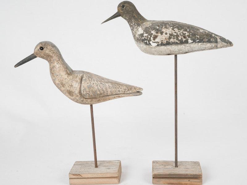 Vintage decoy birds from France