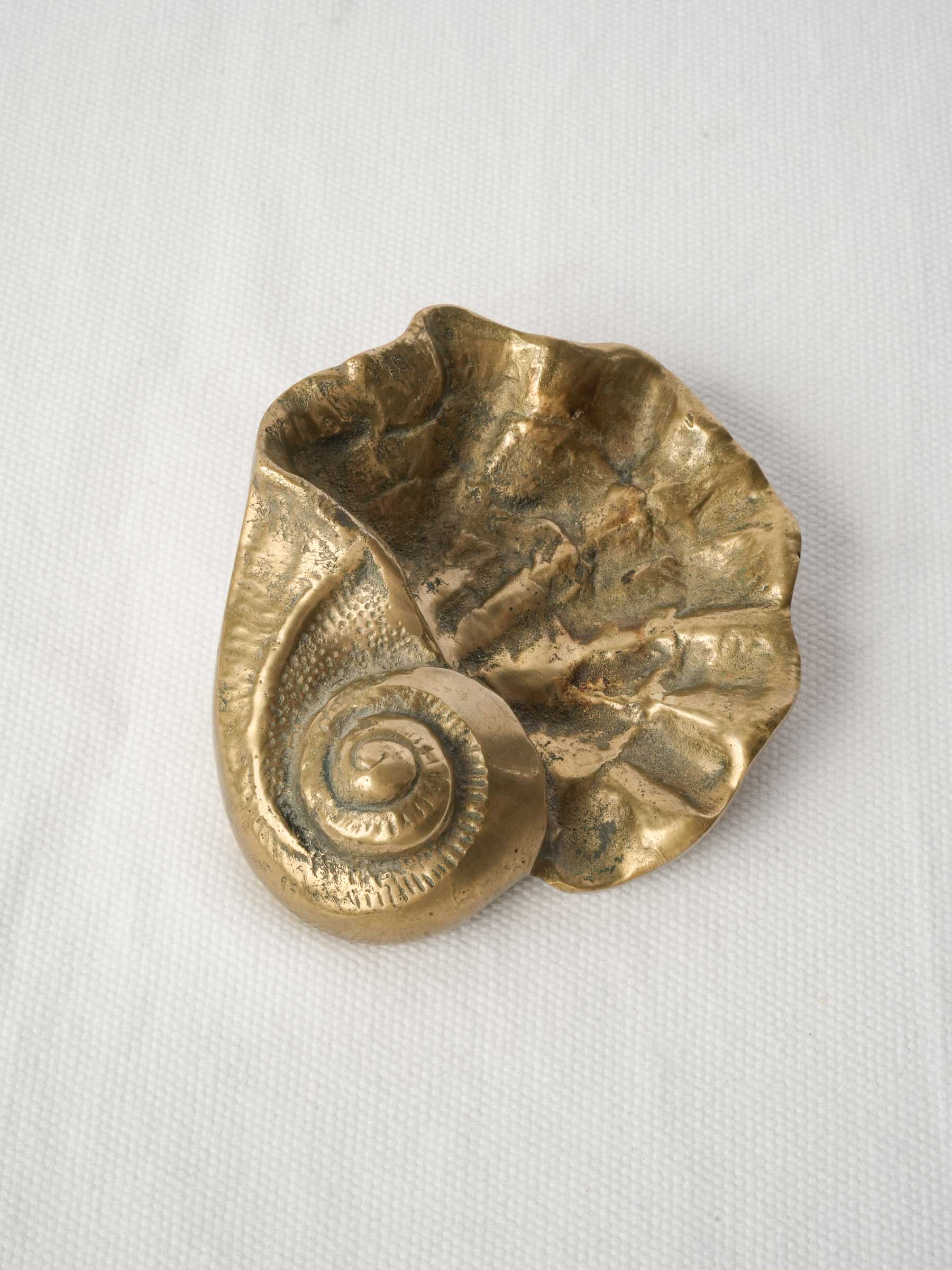 Naturalistic shell maritime accent