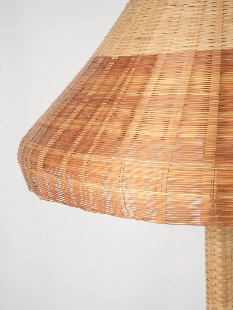 Stylish coastal rattan lamp  