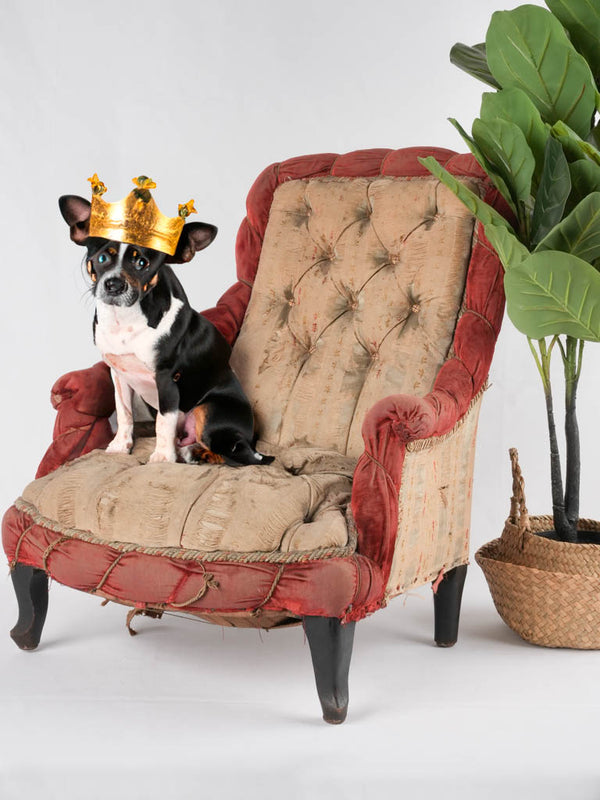 Antique tufted French armchair dog bed