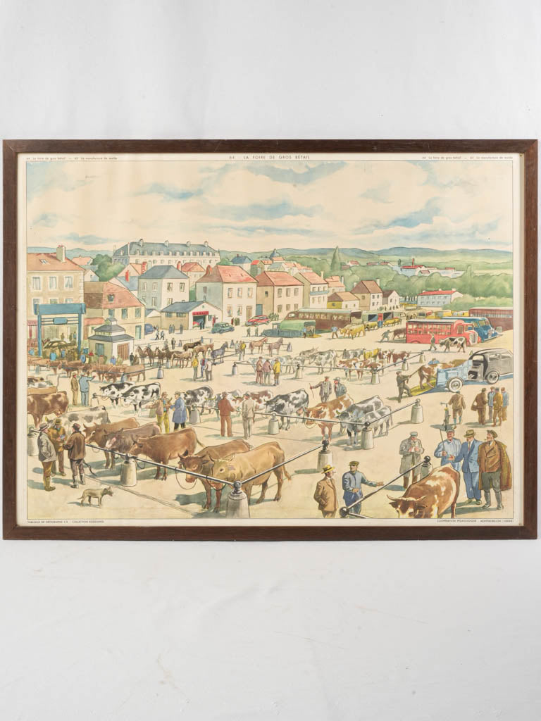 Vintage French educational wall chart