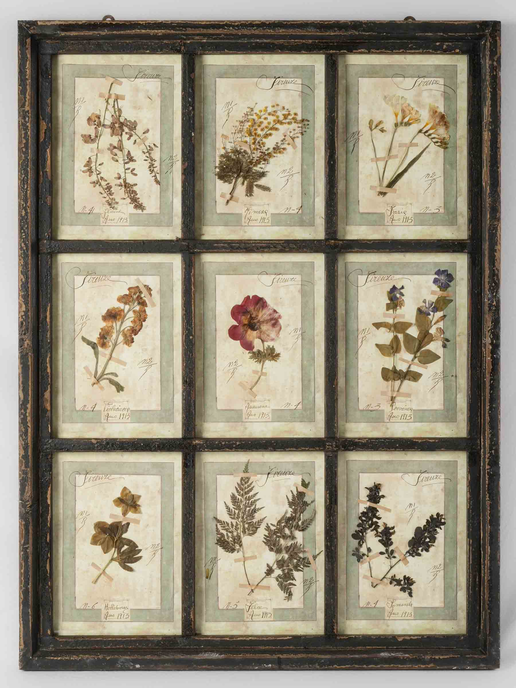 Grand Italian Artisan Herbarium in the Antique Style - 44" x 32¾"