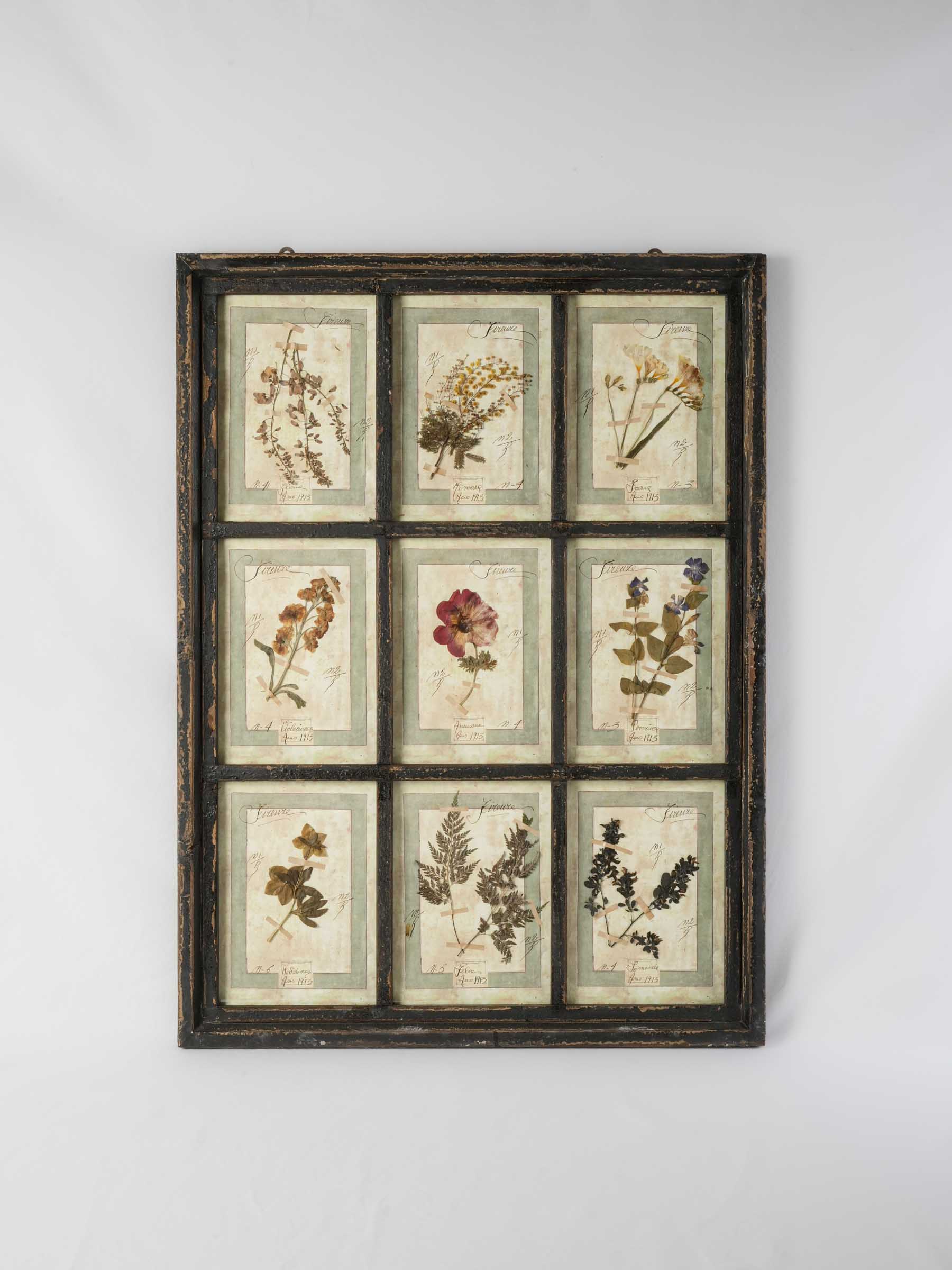 Grand Italian Artisan Herbarium in the Antique Style - 44" x 32¾"