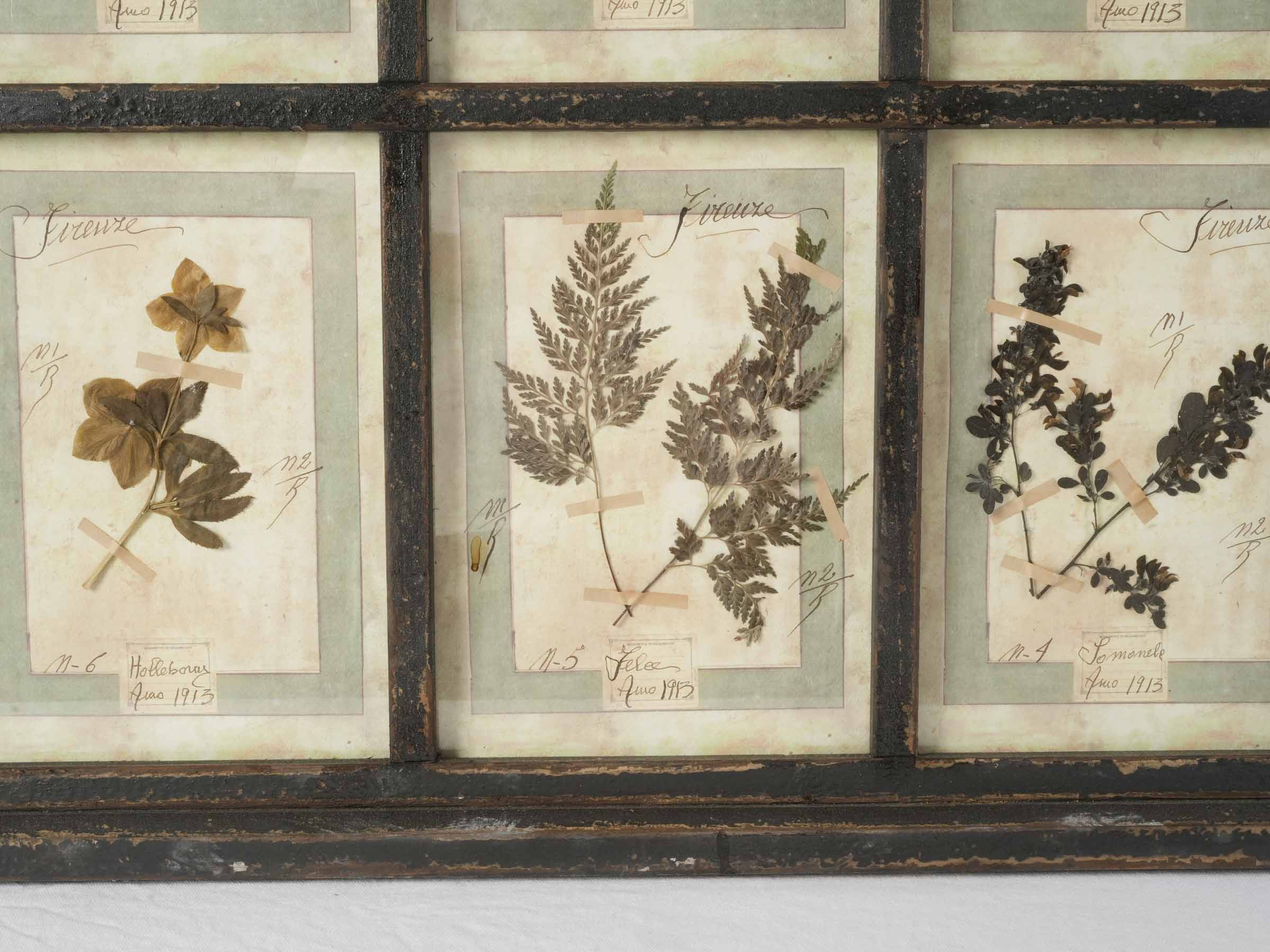 Grand Italian Artisan Herbarium in the Antique Style - 44" x 32¾"