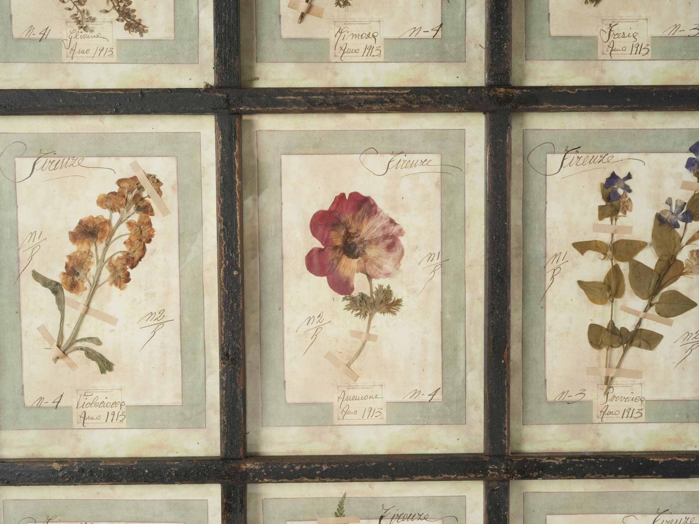 Grand Italian Artisan Herbarium in the Antique Style - 44" x 32¾"