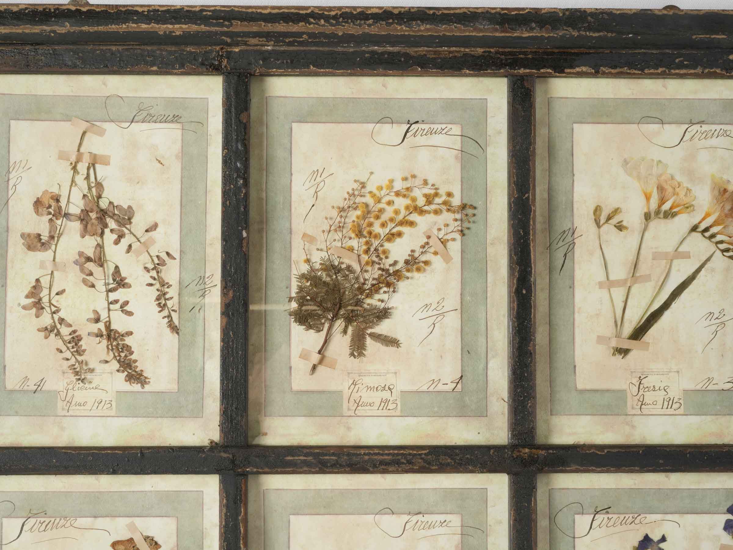 Grand Italian Artisan Herbarium in the Antique Style - 44" x 32¾"