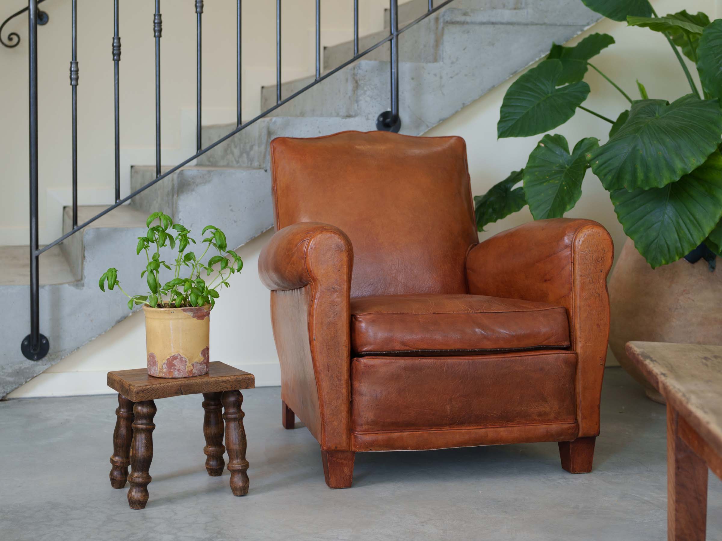 Sculptural Rustic Wooden Plant Stand