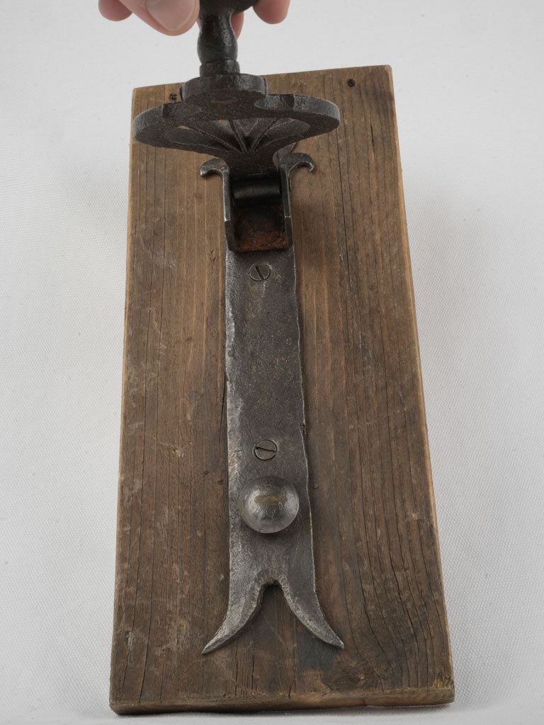 Stylish decorative French door fixture