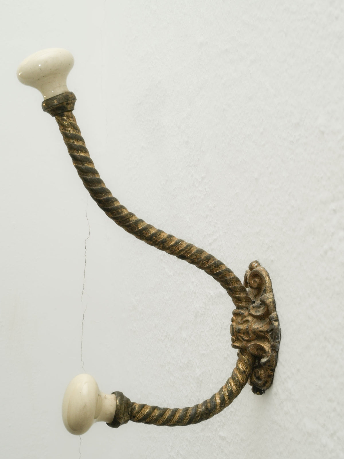 Brass Wall Hook with Porcelain Tips and Foliate Mount
