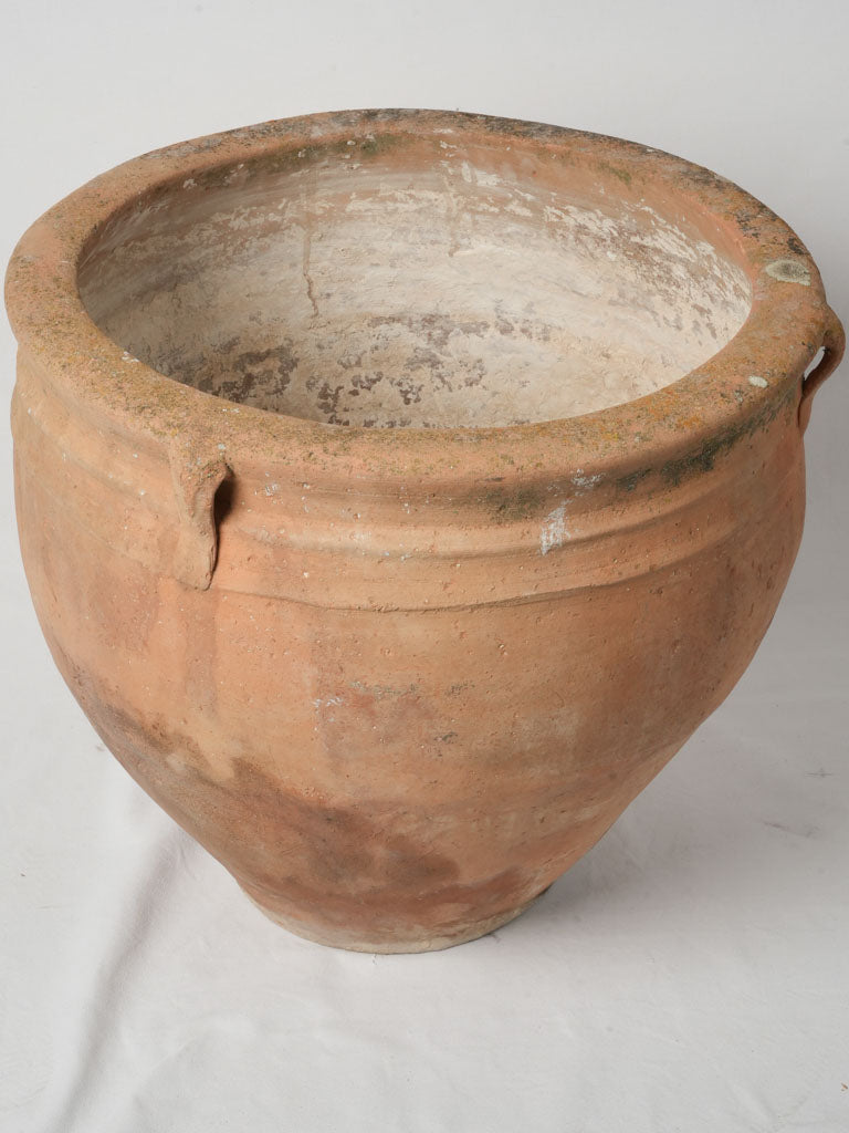 Charming 19th-century Italian pottery planter