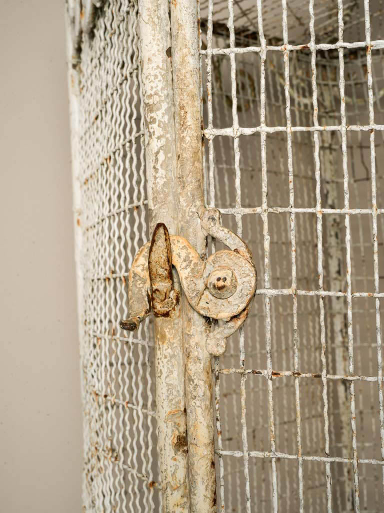 Weathered wire mesh aviary