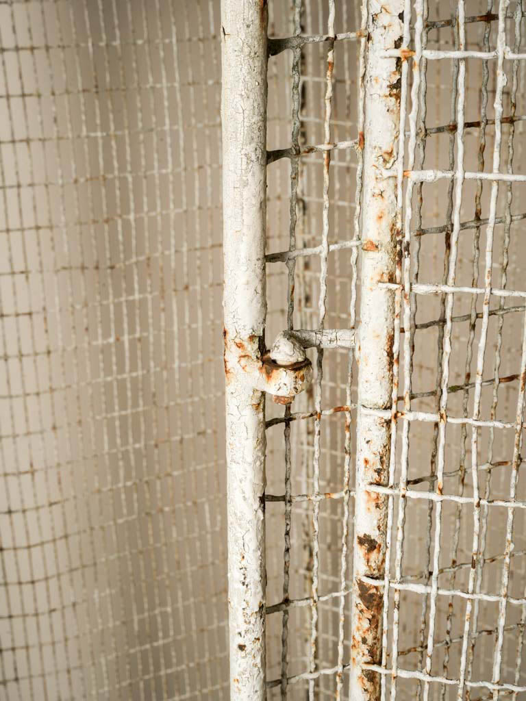 Graceful sculptural focal point