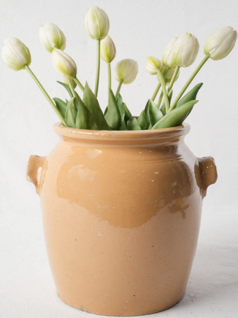 Mid-20th Century French Terracotta Glazed Pot - 9½" x 9¾"