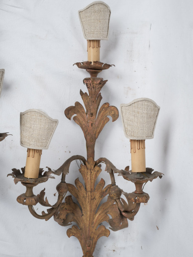 Acanthus Leaf Decorated Sconces