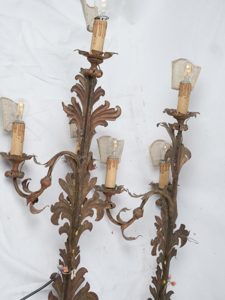 Elegant, Gilded Italian Light Sconces