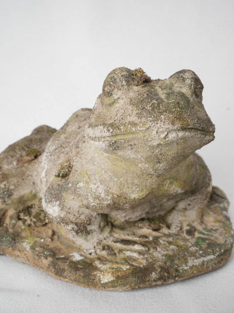 Unique weathered cement frog statues