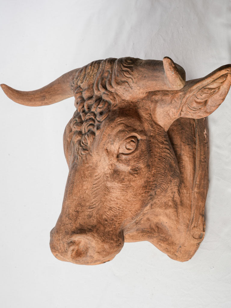 Superb Late 19th-Early 20th Century French Terracotta Bull Head Sculpture - 23¾"