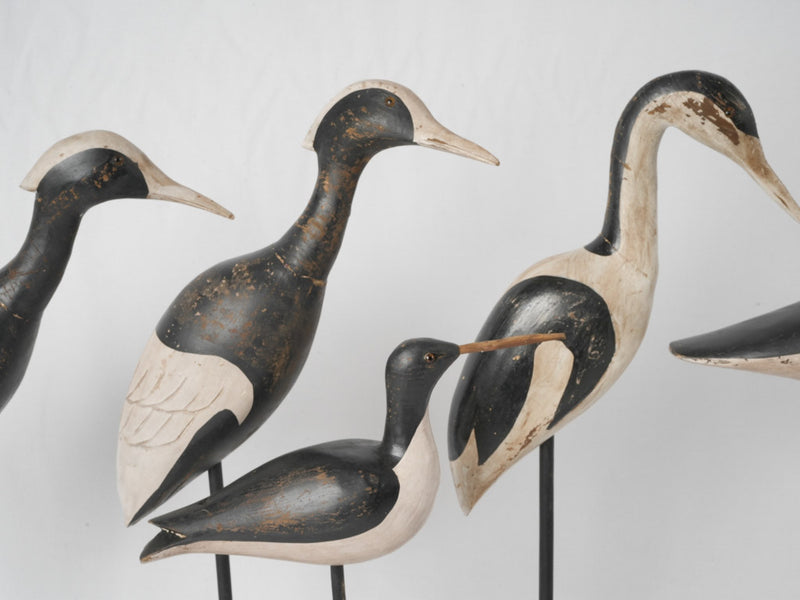 Authentic Mid-century Seaside Bird Art