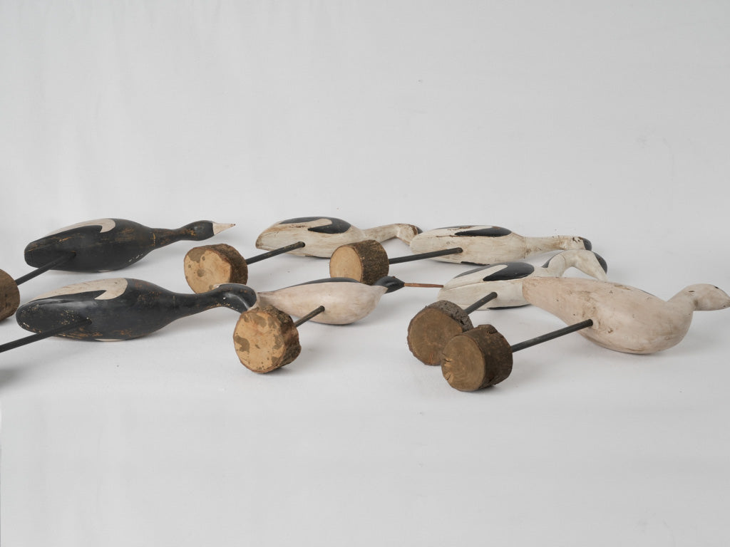 Timeless Vintage Seabird Carvings