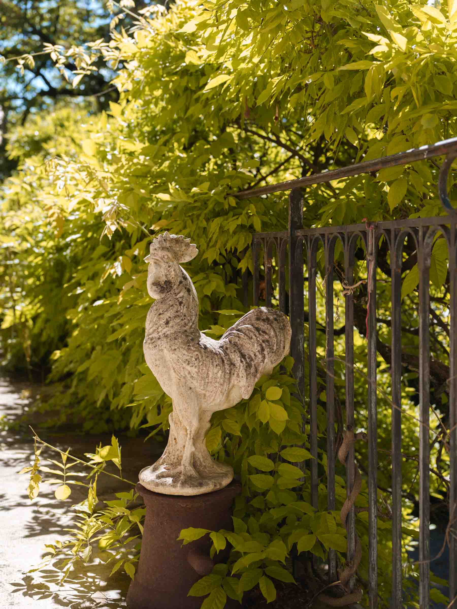Elegant patinated rooster sculpture  