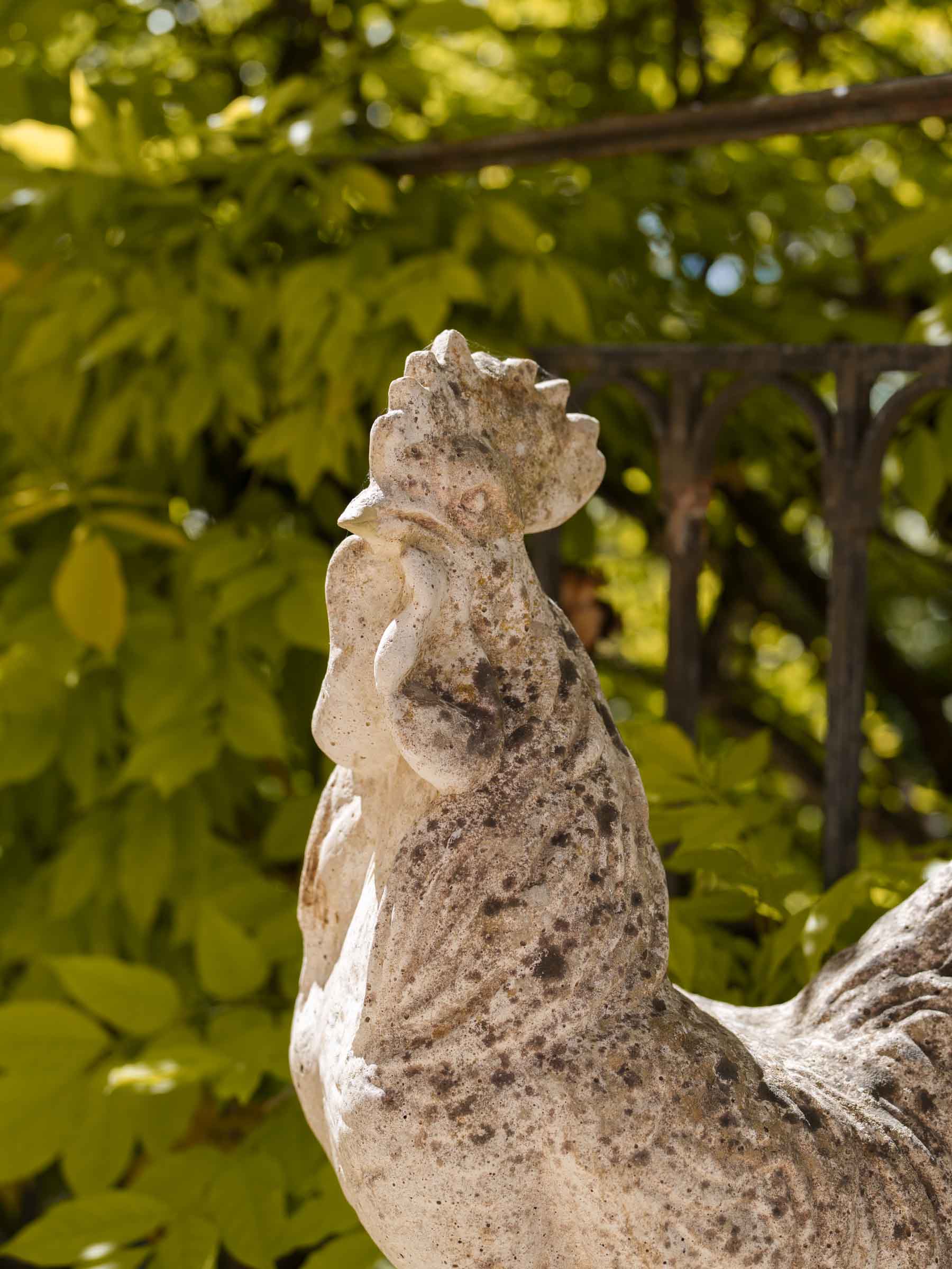 Timeless cement rooster yard statue  