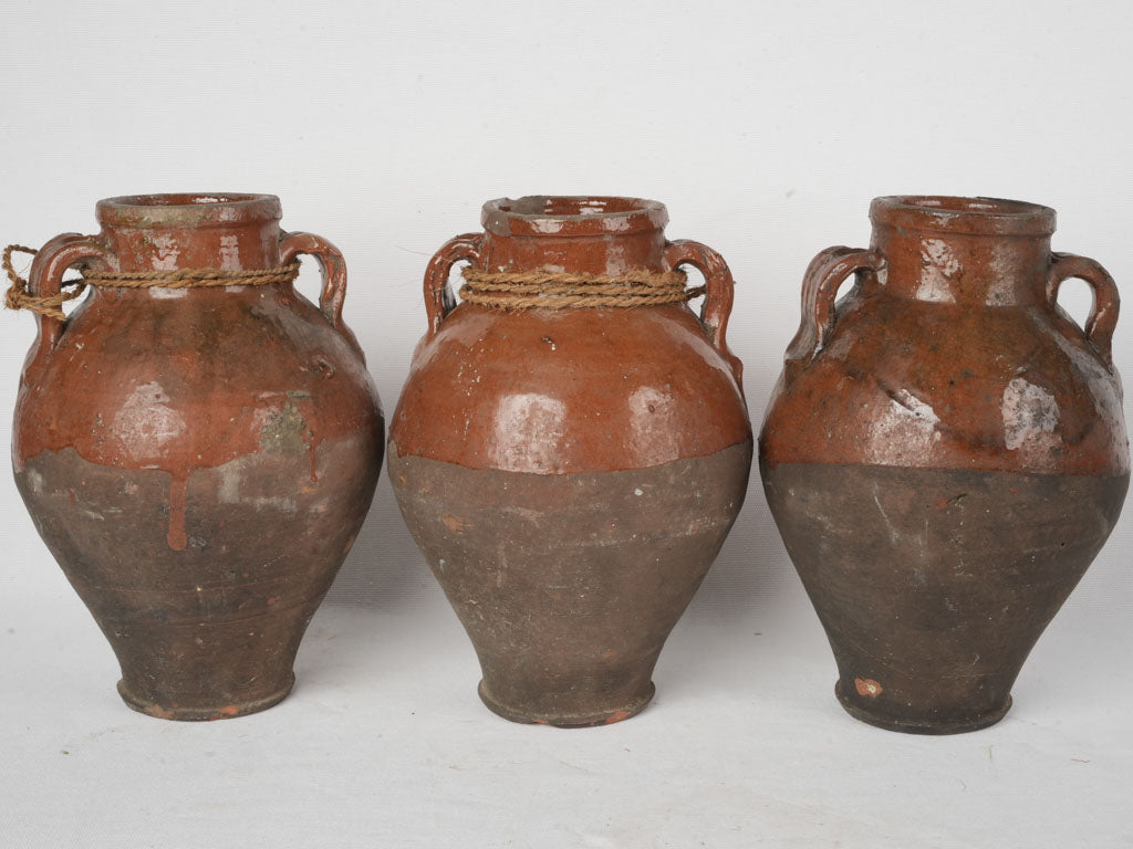 Classic historical olive preservation jar  