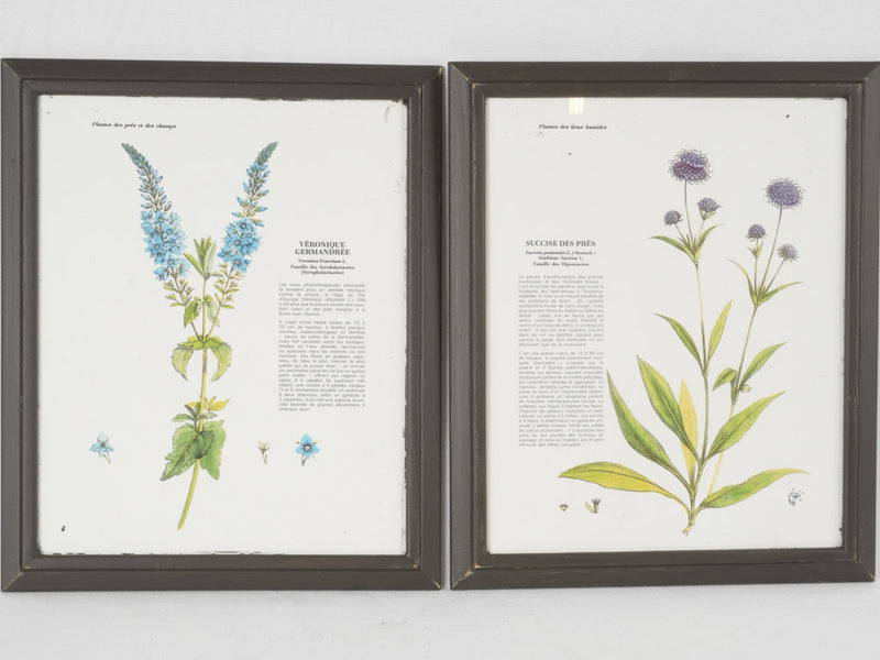 Charming floral print frames