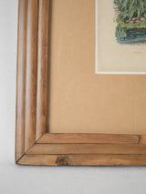 Classic bamboo-framed bird engravings collection
