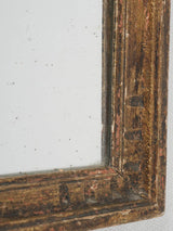Ornate wooden trumeau mirror