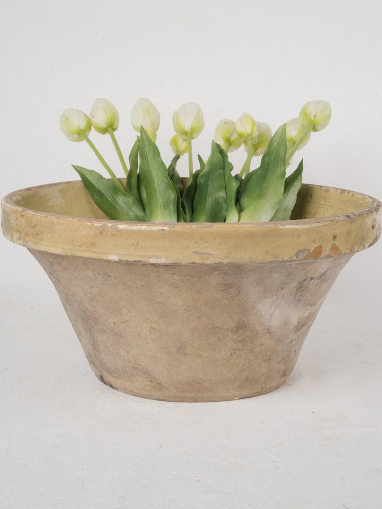 Elegant yellow ceramic Provençal craft  