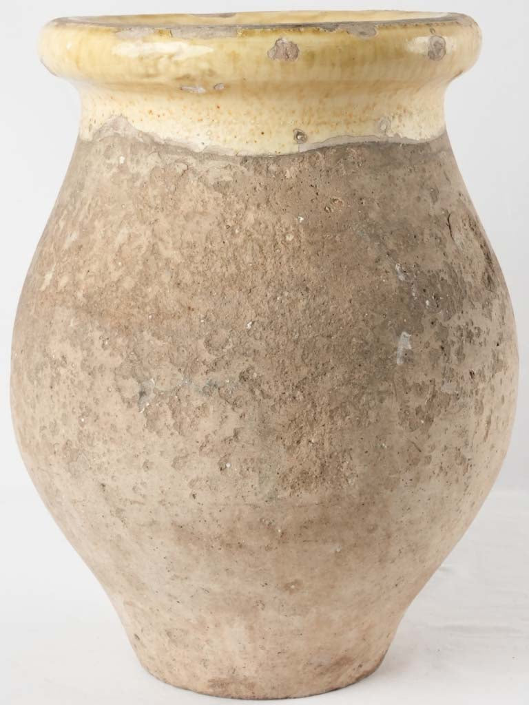 Tiny Biot olive jar - 19th century - 16½"