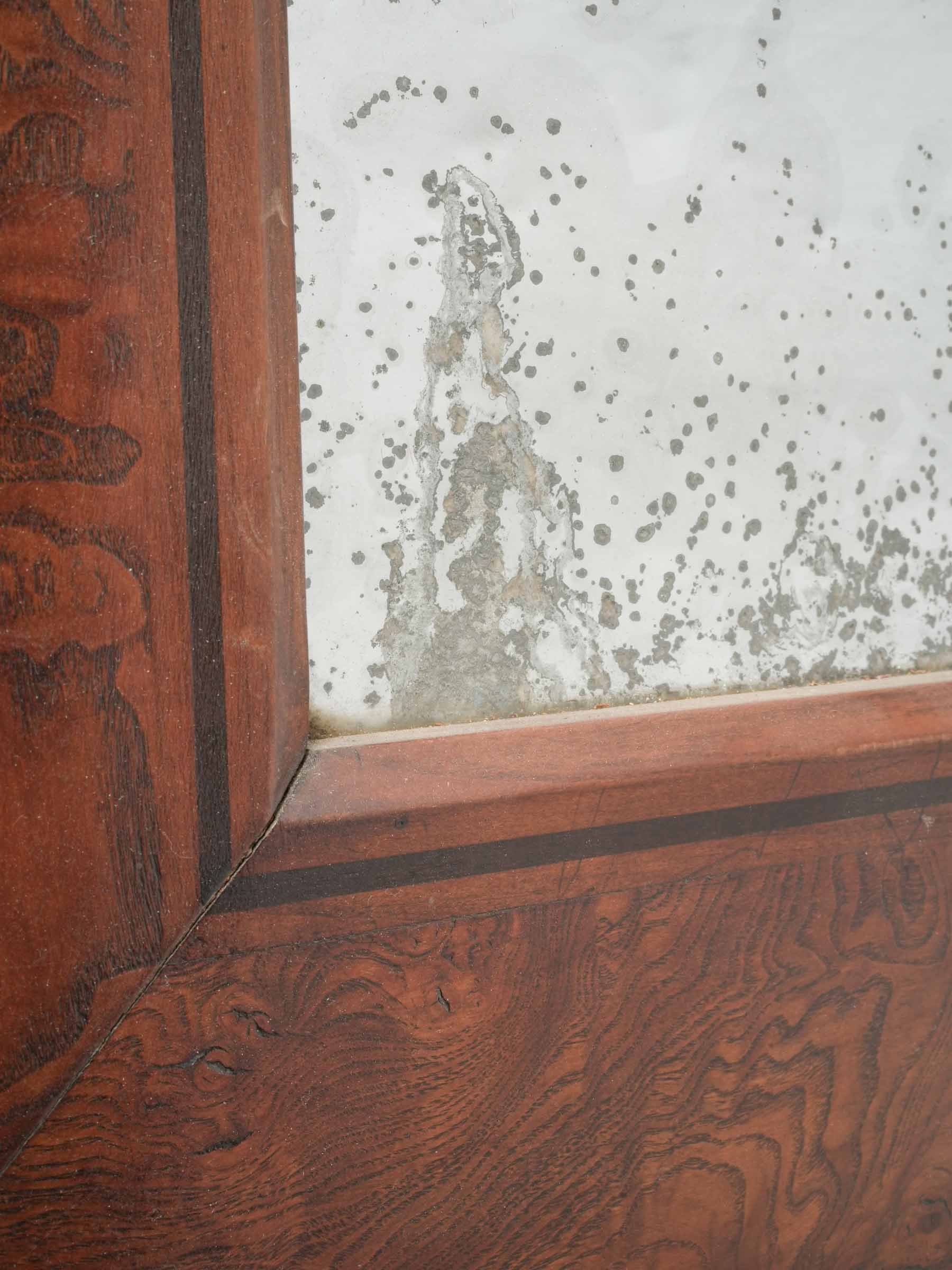 Delicate blackened inner border mirror
