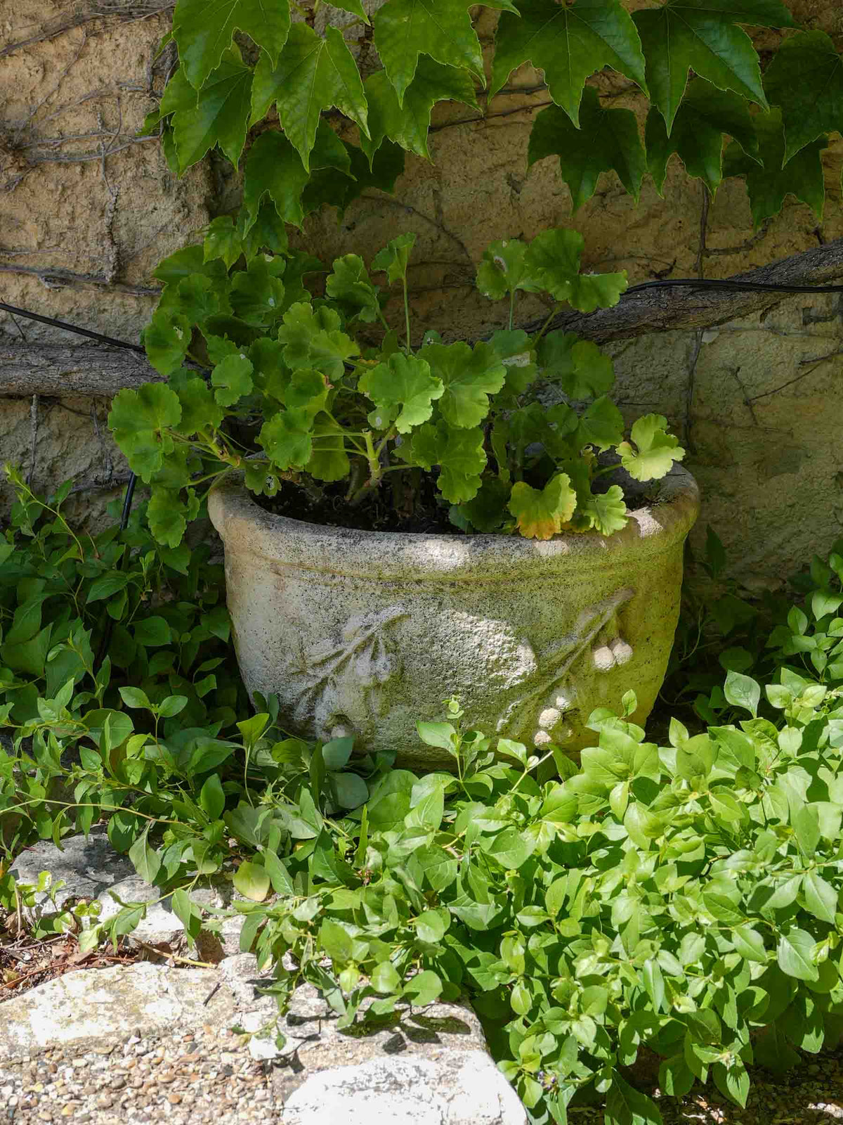 Vintage Cast Concrete Jardiniere w/ Olive Decoration