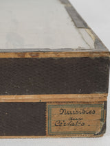 Aged glass entomology collection cases