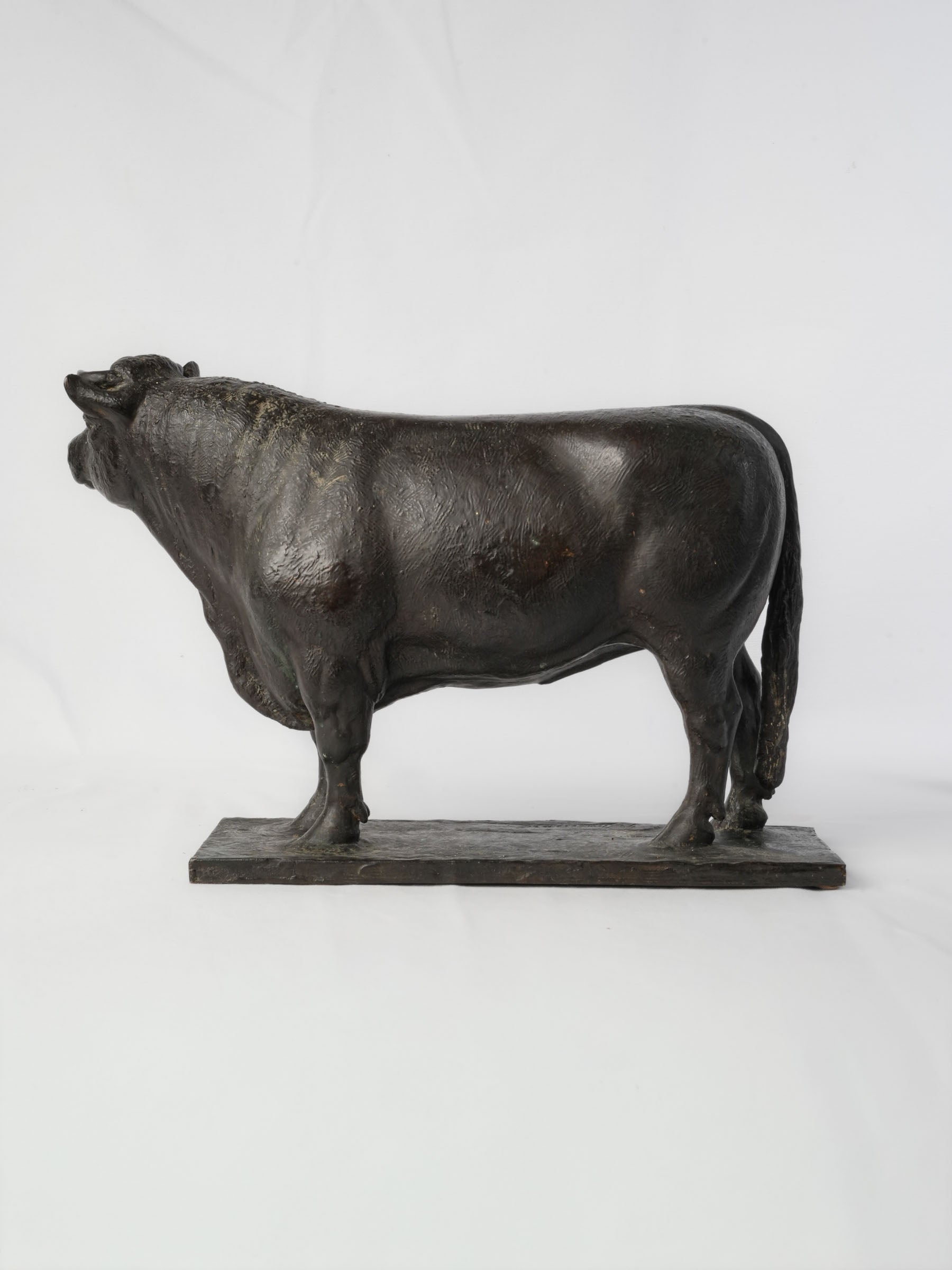 Superb French Animalier Bronze of a Standing Bull by Georges Malissard, Early 20th Century - 21¾"